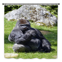 Western Lowland Gorilla Sitting Grass Bath Decor 57015515