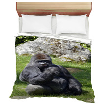 Western Lowland Gorilla Sitting Grass Bedding 57015515