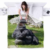 Western Lowland Gorilla Sitting Grass Blankets 57015515