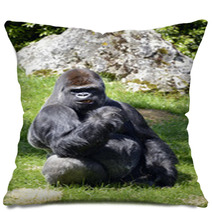 Western Lowland Gorilla Sitting Grass Pillows 57015515