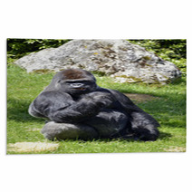 Western Lowland Gorilla Sitting Grass Rugs 57015515