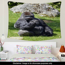 Western Lowland Gorilla Sitting Grass Wall Art 57015515