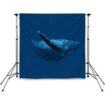 Whale 1 Backdrops 53060899