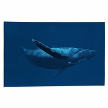 Whale 1 Rugs 53060899