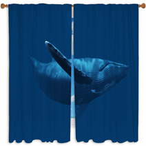 Whale 1 Window Curtains 53060899