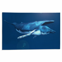 Whale 2 Rugs 53060896