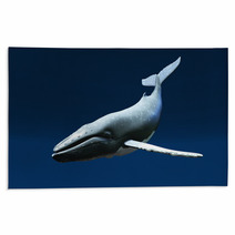 Whale 3 Rugs 38135730