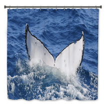 Whale Dive Bath Decor 11042431