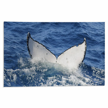 Whale Dive Rugs 11042431