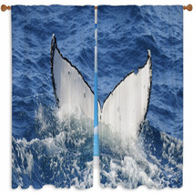 Whale Dive Window Curtains 11042431