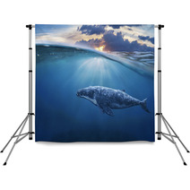 Whale In Half Air Backdrops 96488334