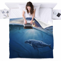 Whale In Half Air Blankets 96488334