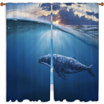 Whale In Half Air Window Curtains 96488334