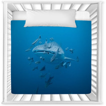Whale Shark  - Rhincodon Typus Nursery Decor 46997916