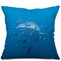 Whale Shark  - Rhincodon Typus Pillows 46997916