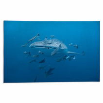 Whale Shark  - Rhincodon Typus Rugs 46997916