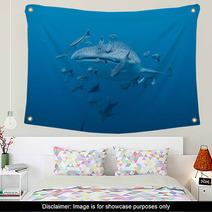 Whale Shark  - Rhincodon Typus Wall Art 46997916