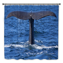 Whale Tail Bath Decor 52623164