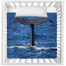 Whale Tail Nursery Decor 52623164
