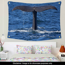 Whale Tail Wall Art 52623164