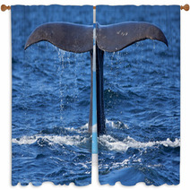 Whale Tail Window Curtains 52623164