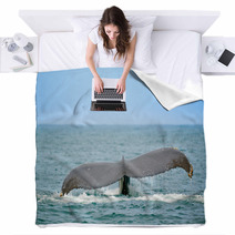 Whale Watching Blankets 23489947