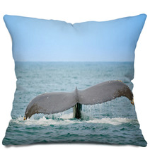 Whale Watching Pillows 23489947