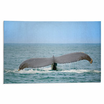 Whale Watching Rugs 23489947
