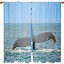 Whale Watching Window Curtains 23489947