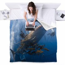 Whaleshark And Scuba Divers Underwater Blankets 48324394