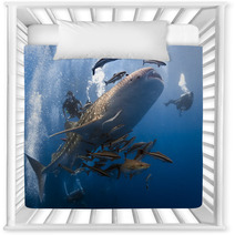Whaleshark And Scuba Divers Underwater Nursery Decor 48324394