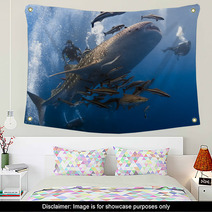 Whaleshark And Scuba Divers Underwater Wall Art 48324394