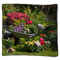 Wheelbarrow And Trays With New Plants Blankets 35876959