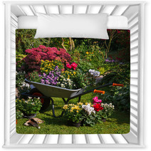 Wheelbarrow And Trays With New Plants Nursery Decor 35876959