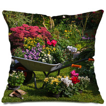 Wheelbarrow And Trays With New Plants Pillows 35876959