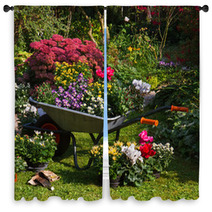 Wheelbarrow And Trays With New Plants Window Curtains 35876959