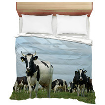 White Black Milch Cow On Green Grass Pasture Bedding 55377930
