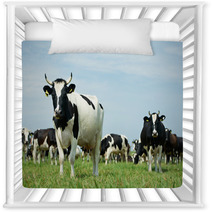 White Black Milch Cow On Green Grass Pasture Nursery Decor 55377930