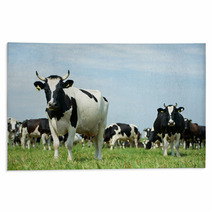 White Black Milch Cow On Green Grass Pasture Rugs 55377930