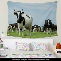 White Black Milch Cow On Green Grass Pasture Wall Art 55377930