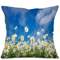 White Daisies Pillows 51650576