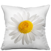 White Daisy Pillows 65130401