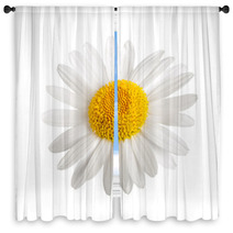 White Daisy Window Curtains 65130401