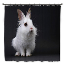 White Domestic Baby-rabbit On The Black Background Bath Decor 23736245
