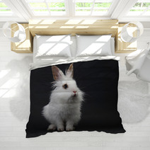 White Domestic Baby-rabbit On The Black Background Bedding 23736245