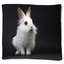 White Domestic Baby-rabbit On The Black Background Blankets 23736245