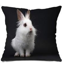 White Domestic Baby-rabbit On The Black Background Pillows 23736245