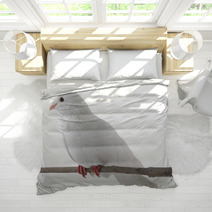 White Dove Bedding 61703672