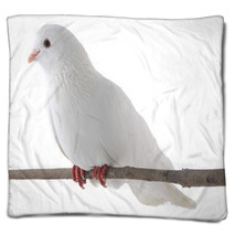 White Dove Blankets 61703672