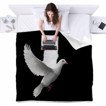 White Dove In Flight 1 Blankets 1672292
